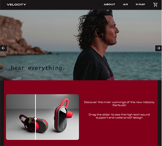 picture of velocity buds website